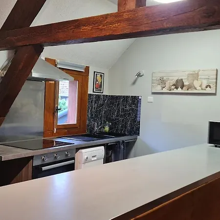 Apartamento Au Centre De *